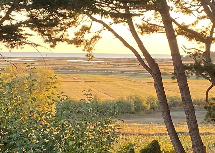 Villa Vieilles Vignes Vue Mer