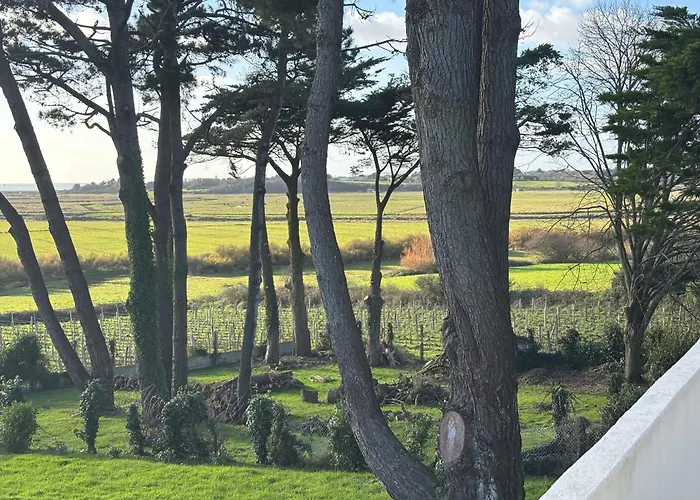 Villa Vieilles Vignes Vue Mer
