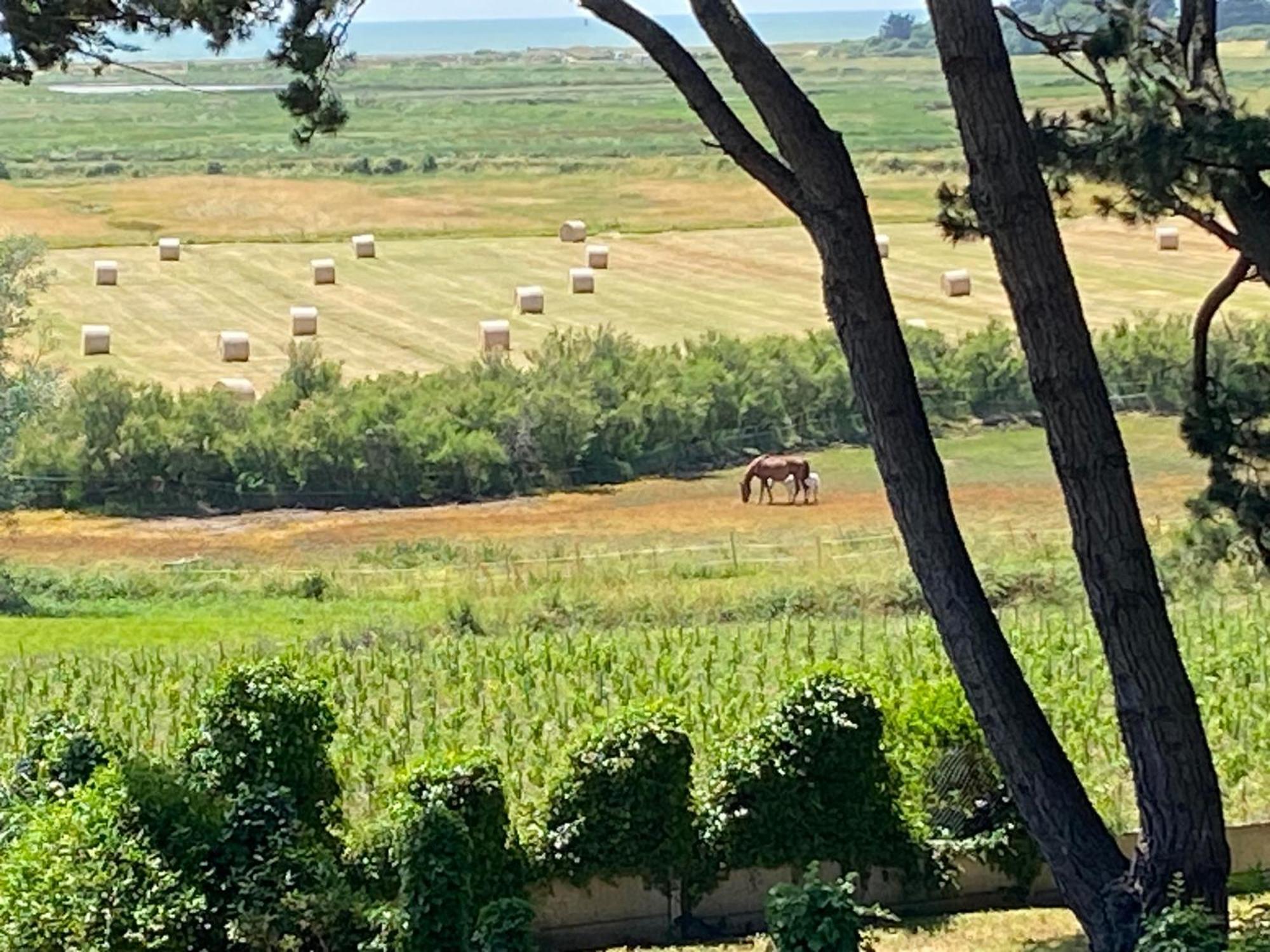 Vakantiehuis Vieilles Vignes Vue *
