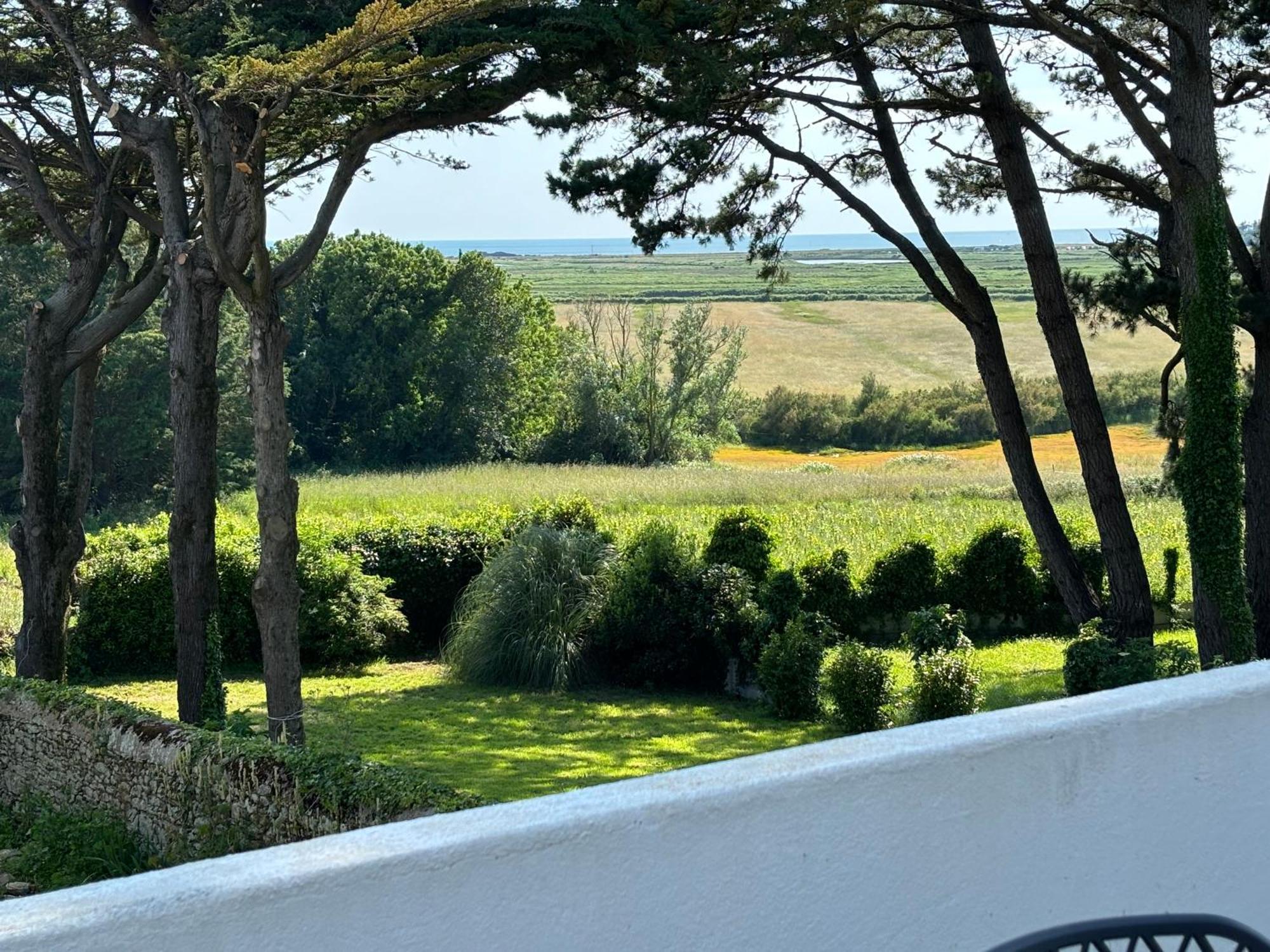 Hébergement de vacances Vieilles Vignes Vue *