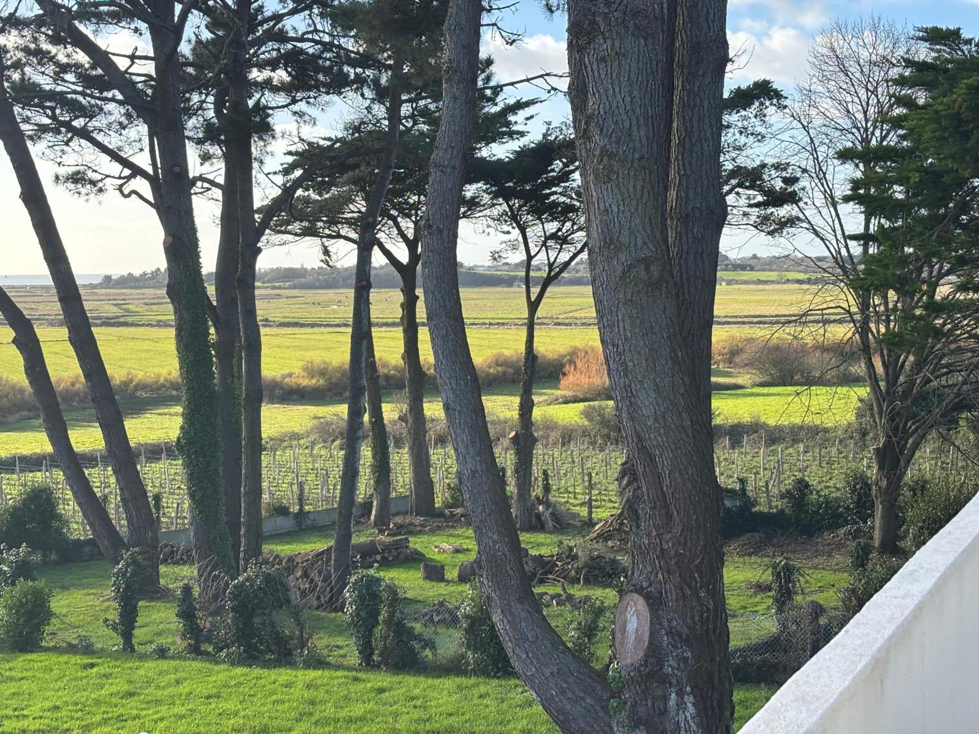 Vieilles Vignes Vue Holiday home